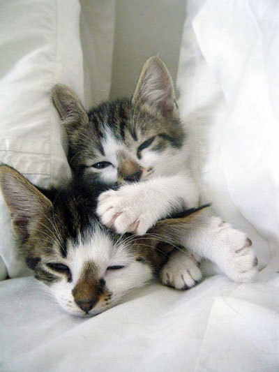 Context-Free Grammars Weren't Invented in the 1950s