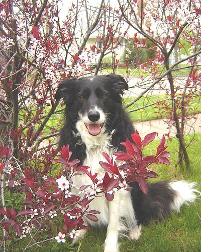 Open Source Sunday: Open Source Health Tools That Don't Sell You Out