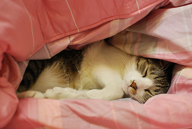 JavaScript Date Is Broken. Here's What Replaces It